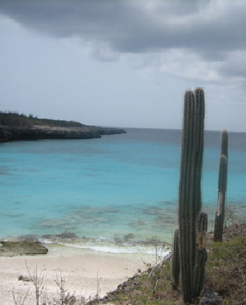 Bonaire thumbnail