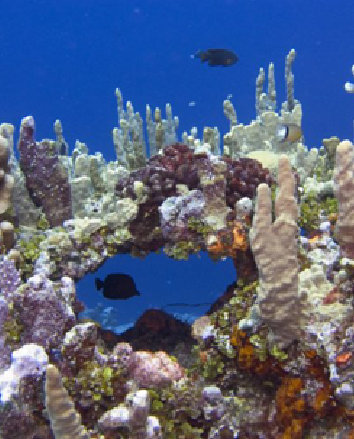 Kosrae thumbnail