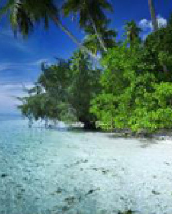 Pohnpei thumbnail
